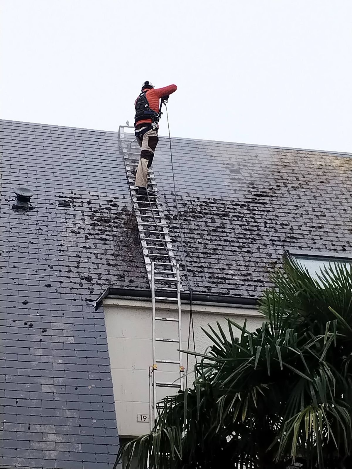 Intervention de nettoyage de toiture par STEED Solutions Extérieures à Noyal-sur-Vilaine en 2024