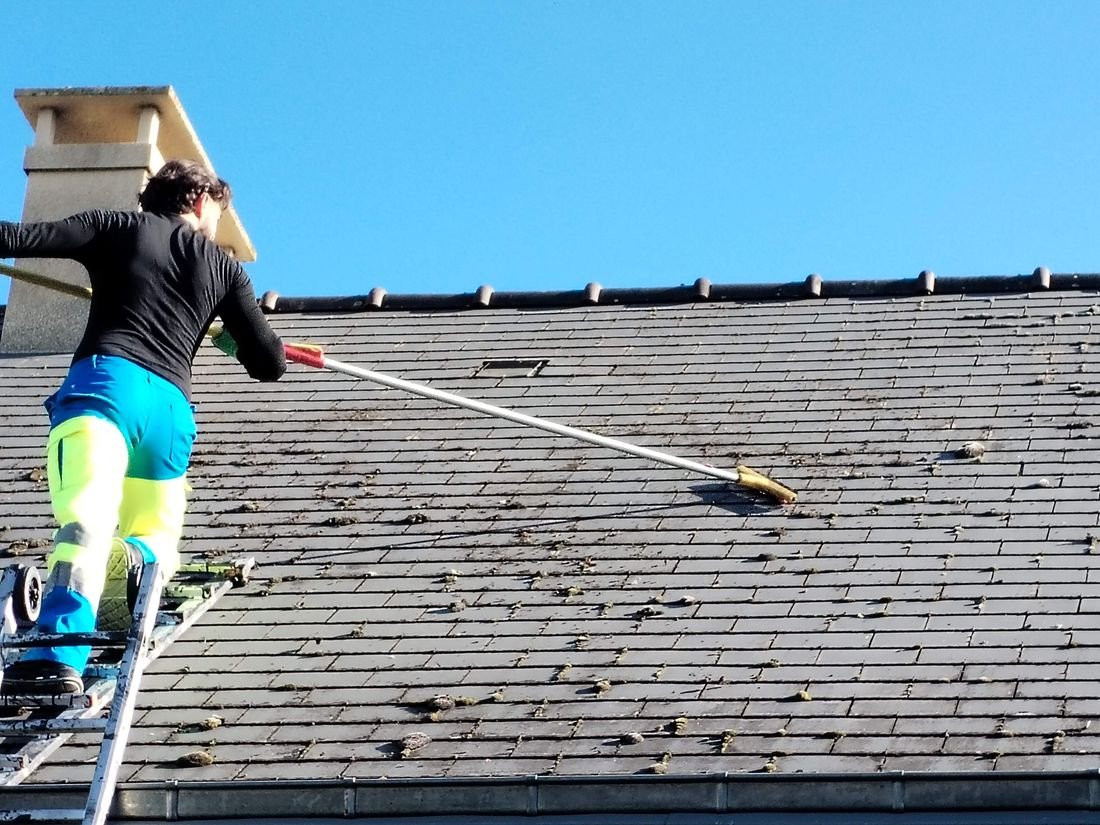 Brossage des mousses sur toiture par STEED Solutions Extérieures à Rennes