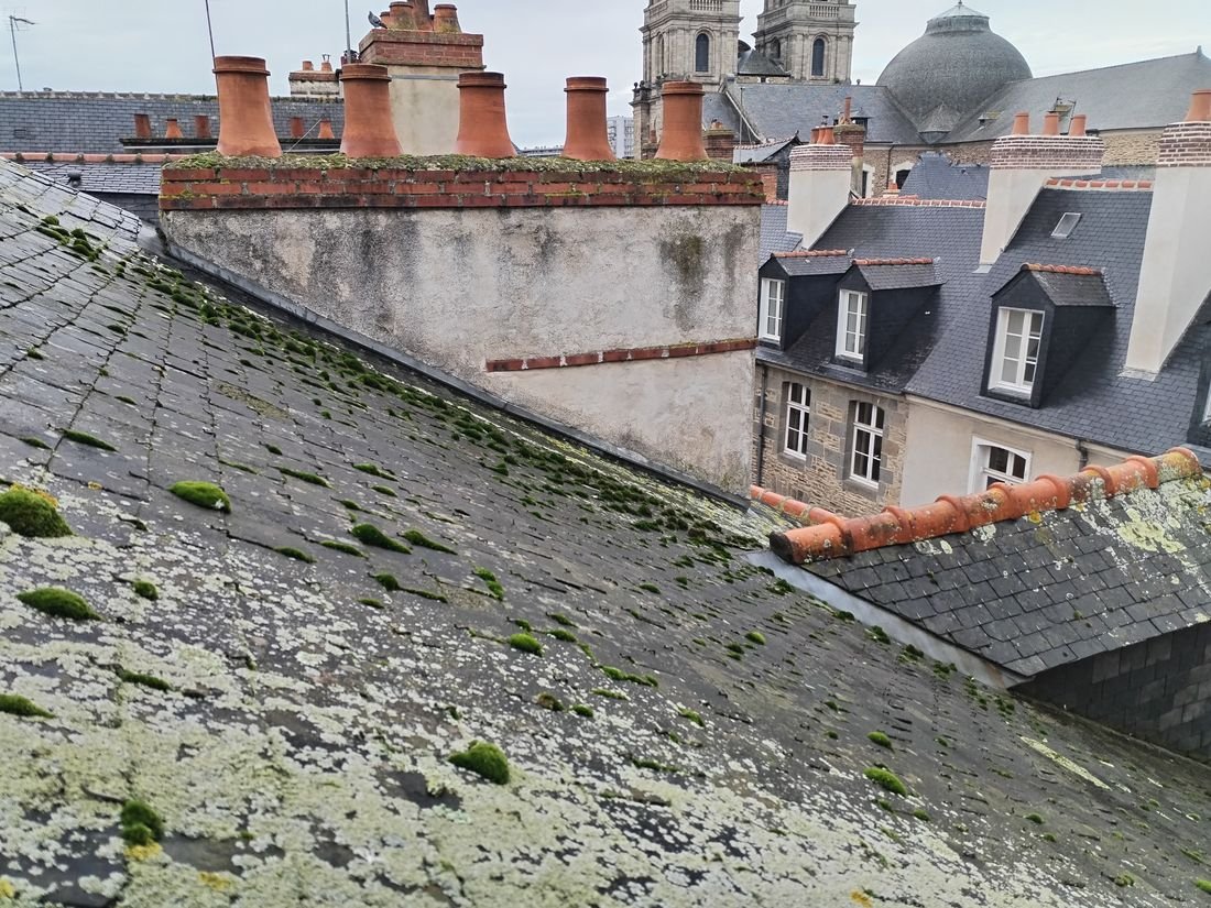 Toiture couverte de mousse et lichen avant nettoyage à Rennes